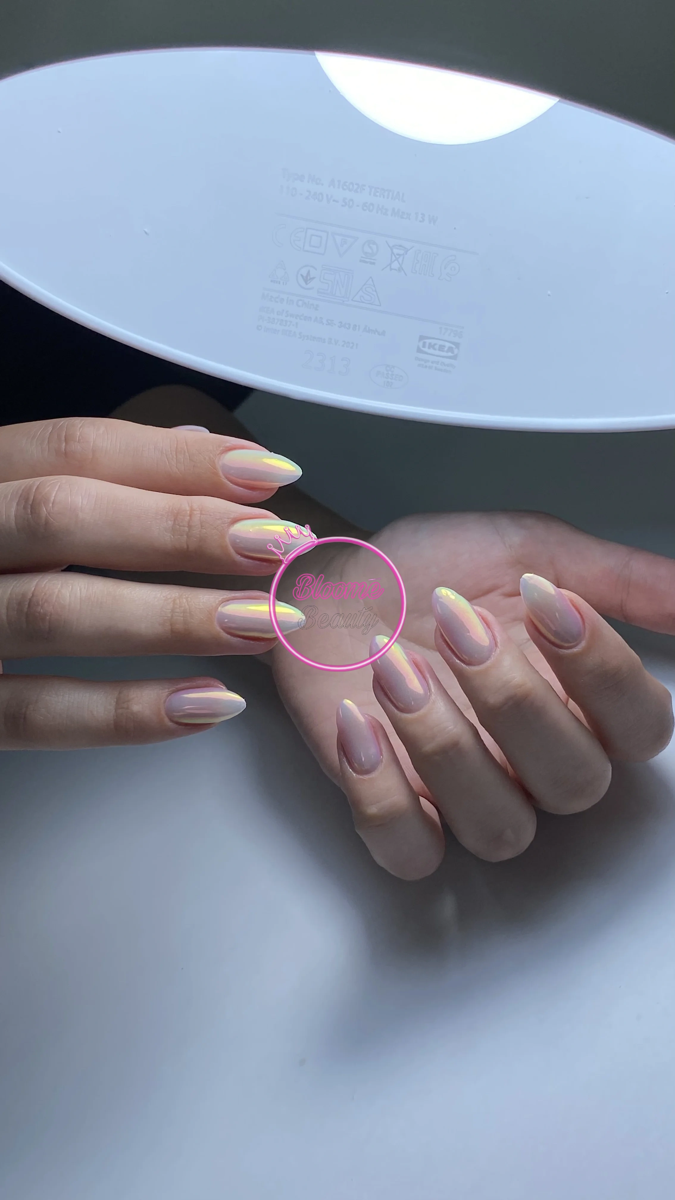 dragon toz - Protez Tırnak - Bloome Beauty Club Bloome Beauty Club YDA Center